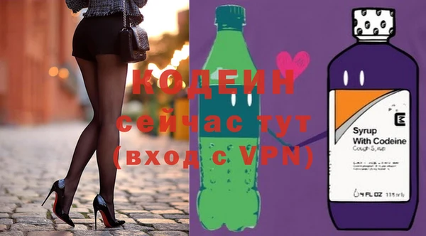 индика Баксан