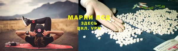 PSILOCYBIN Балахна