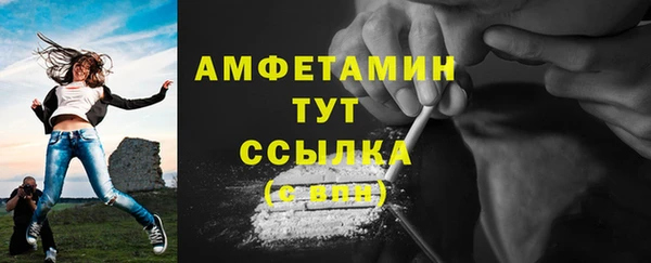 индика Баксан