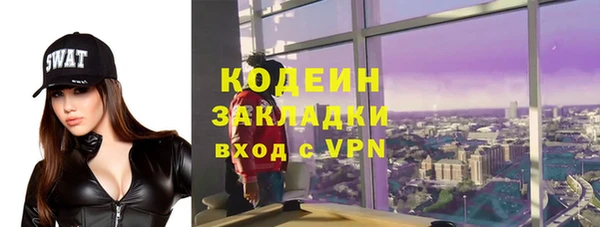индика Баксан