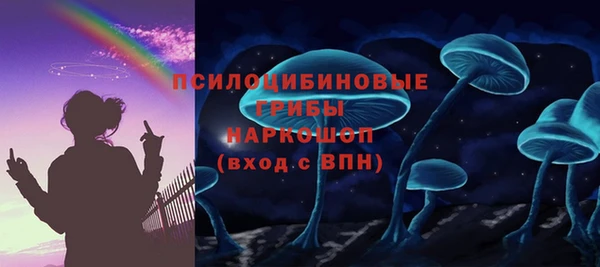 PSILOCYBIN Балахна