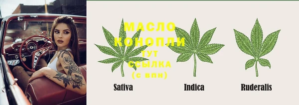 индика Баксан