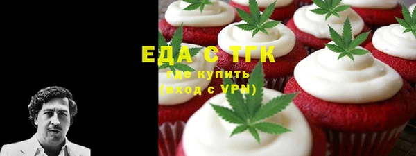 индика Баксан