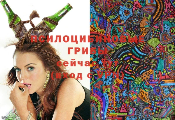 mdpv Балабаново