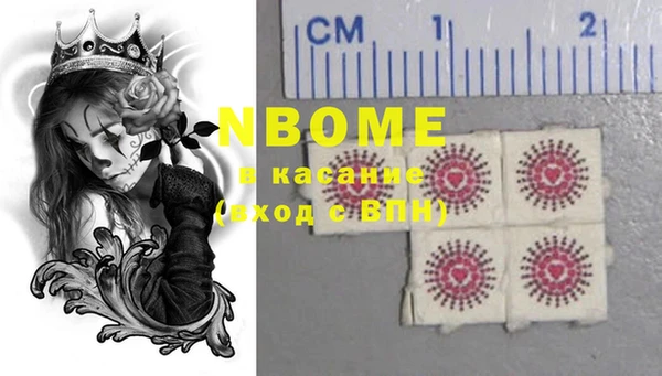 индика Баксан