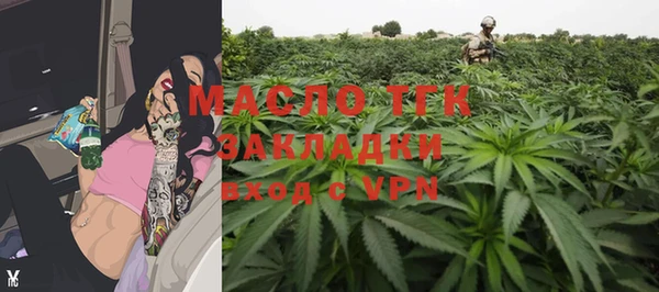 индика Баксан