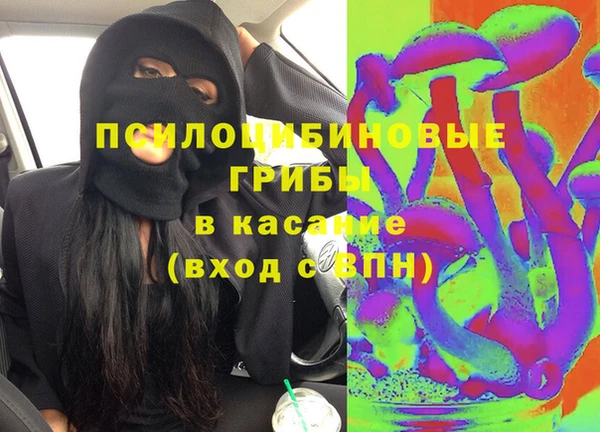 PSILOCYBIN Балахна