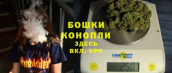 индика Баксан