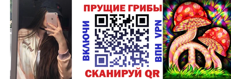 ссылка на мегу tor  купить закладку  Хвалынск  Галлюциногенные грибы Cubensis 