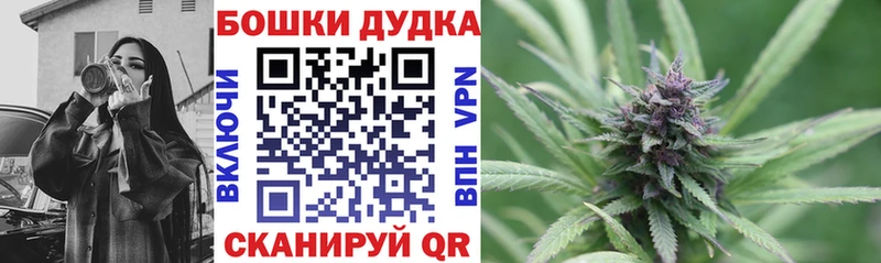 Конопля индика Хвалынск